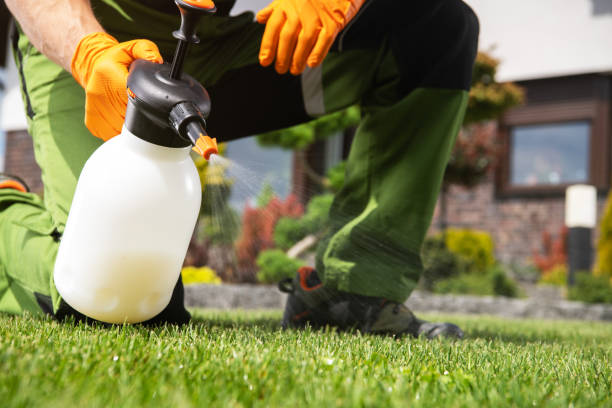Best Affordable Pest Control Services  in Chisholm, MN