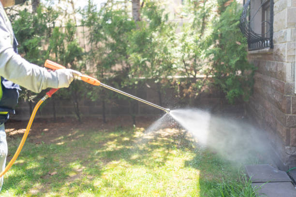 Best Pest Prevention Services  in Chisholm, MN