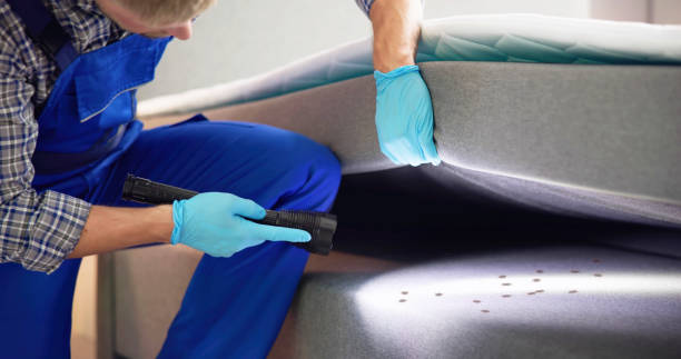 Best Local Pest Control Services  in Chisholm, MN