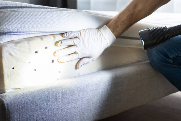 Best Pest Inspection Near Me  in Chisholm, MN