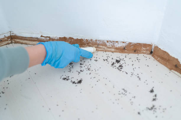 Best Commercial Pest Control Services  in Chisholm, MN