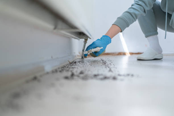 Best Commercial Pest Control Services  in Chisholm, MN