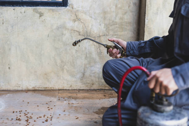 Best Best Pest Control Companies  in Chisholm, MN