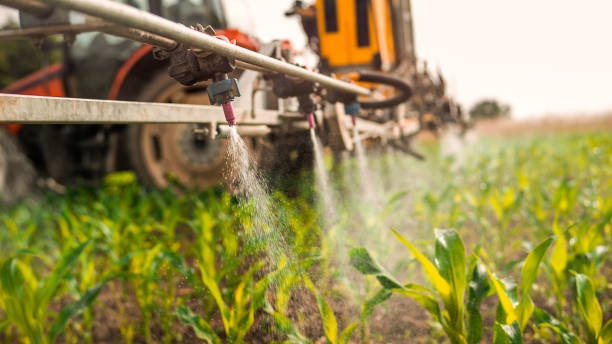 Best Wildlife Control Services  in Chisholm, MN